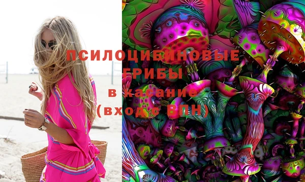 альфа пвп Алексеевка